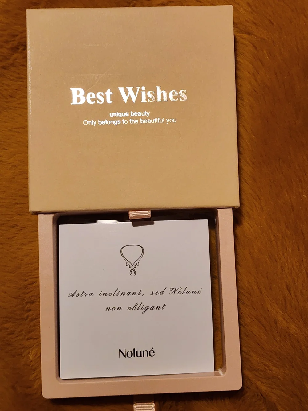 Nolune Intial B/ With Cross Necklace In Best Wishes Pink Gift Box